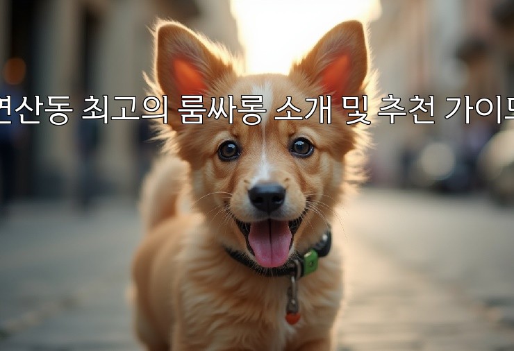 aiimg143885.jpg