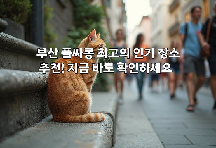 부산 풀싸롱 최고의 인기 장소 추천! 지금 바로 확인하세요