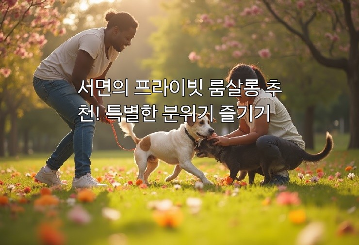 서면의 프라이빗 룸살롱 추천! 특별한 분위기 즐기기