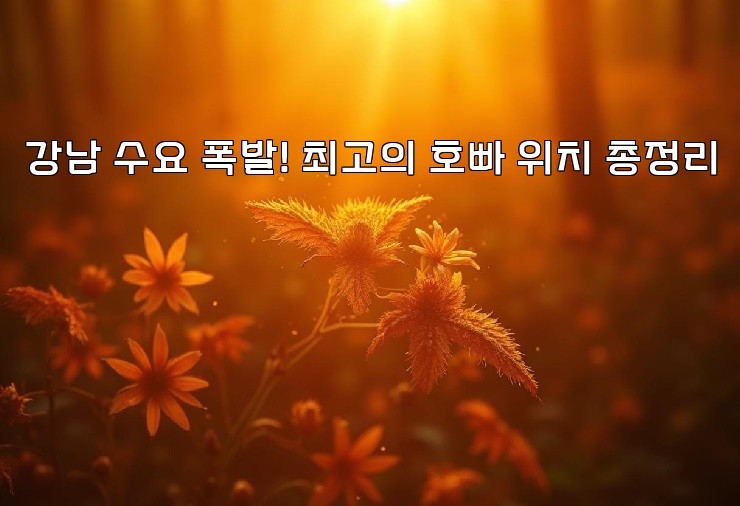 강남 수요 폭발! 최고의 호빠 위치 총정리 강남 수요 폭발! 최고의 호빠 위치 총정리