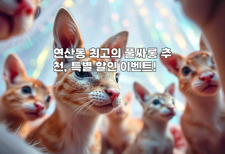 연산동 최고의 풀싸롱 추천, 특별 할인 이벤트! 연산동 최고의 풀싸롱 추천, 특별 할인 이벤트!