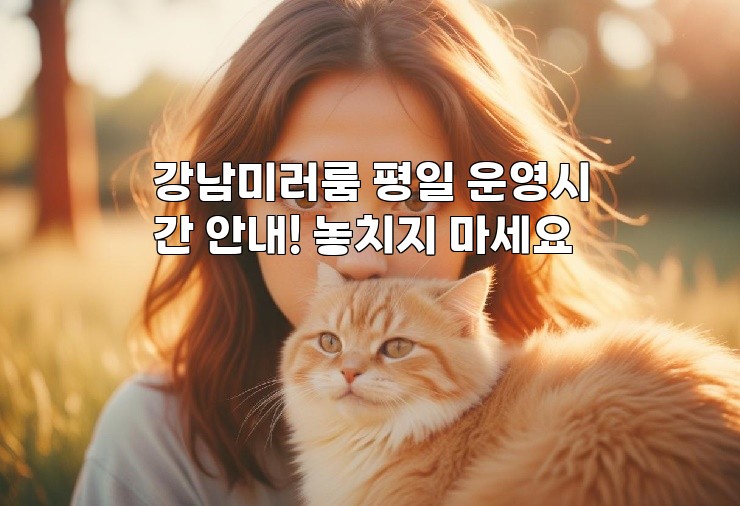 강남미러룸 평일 운영시간 안내! 놓치지 마세요