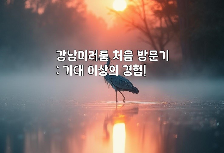 강남미러룸 처음 방문기: 기대 이상의 경험! 강남미러룸 처음 방문기: 기대 이상의 경험!